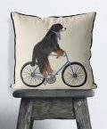 Bernese Dog on bicycle with cream background