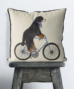 Bernese Dog on bicycle with cream background