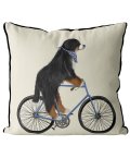 Bernese Dog on bicycle with cream background